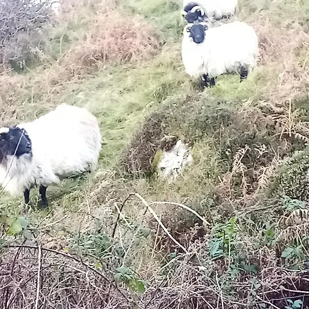 Farnaught House * Westport