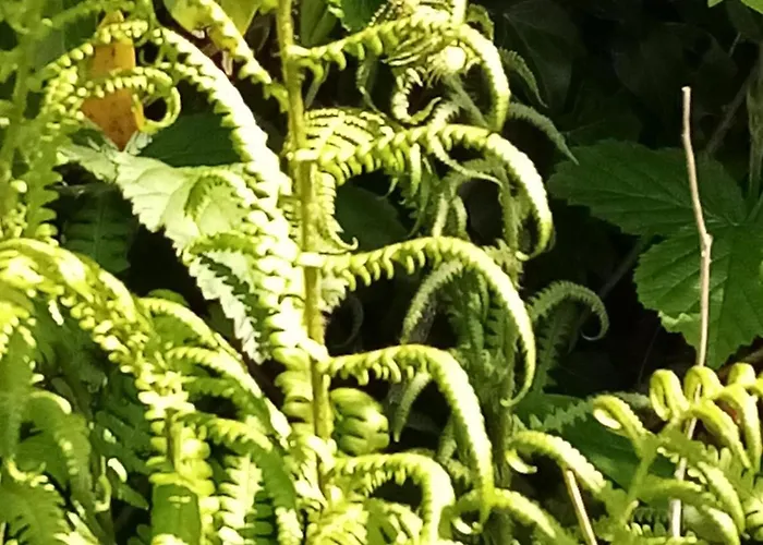 Farnaught House Kwatera prywatna Westport